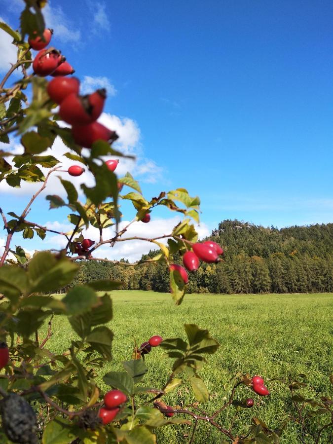 Teplice nad Metují Penzion Adrspach " U Kozaru "酒店 外观 照片