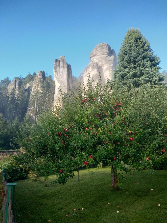 Teplice nad Metují Penzion Adrspach " U Kozaru "酒店 外观 照片